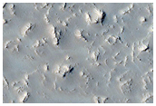 Daedalia Planum Flow Margin
