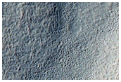 Possible Gullies
