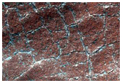 Irregular Basin Floor Materials

