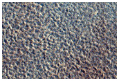 Northern Plains Terrain Sample
