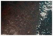 Persistent Northern Plains Ice Deposit Monitoring in Louth Crater
