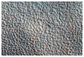 Northern Plains Terrain Sample
