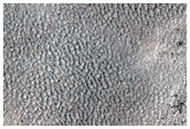 Southern Highlands Terrain Sample
