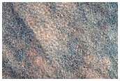 Northern Plains Terrain Sample
