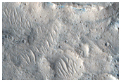 Possible Clay-Rich Terrain Near Chryse Region

