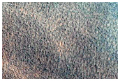 Northern Plains Terrain Sample
