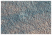Northern Plains Terrain Sample
