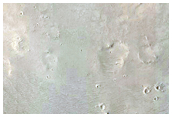 Slopes of Crater in Tartarus Colles

