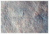 Northern Plains Terrain Sample
