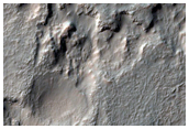 Possible Phyllosilicate-Rich Terrain in North Rim of Argyre Region
