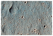 Possible Olivine-Rich Terrain in Peta Crater
