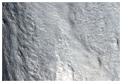 Flow Surface Features in Tempe Terra
