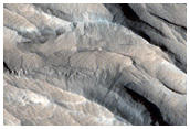Yardangs South of Olympus Mons
