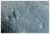 Knobs in Acidalia Planitia
