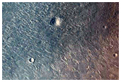 Polygonal Veins in Robert Sharp Crater
