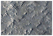 Floor of Vernal Crater
