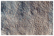 Thumbprint Terrain Sample
