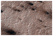 Classic Spider Plumes in Region Dubbed Manhattan
