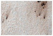 Spiders on Ejecta Blanket
