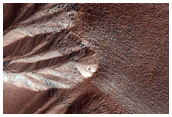 Gully Monitoring
