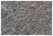 Monitor Seasonal Defrosting Process
