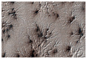 Spider Terrain
