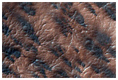 South Polar Region Dubbed Oswego
