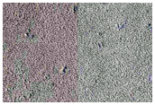 Floor of Double Crater
