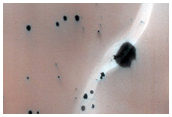Gully Monitoring
