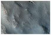 Galaxias Fluctus
