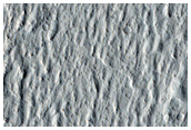 Lava Crust and Wakes in Amazonis Planitia
