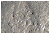 Lucus Planum
