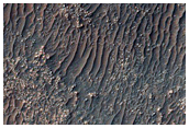 Halley Crater Floor
