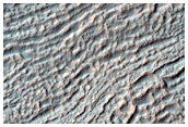 Concentric Crater Fill in Southern Mid-Latitudes
