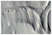 Mantled Crater in Arcadia Planitia
