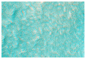 Cliffed Terminal Deposit and Basin of Small Ejecta-Marginal Channel
