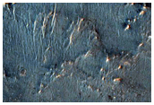 Candidate Landing Site for 2020 Mission at Nili Fossae
