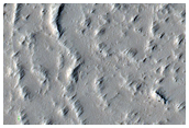 Terrain Sample
