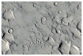 Cerberus Region
