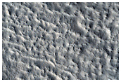 Northern Plains
