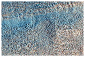 Northern Plains
