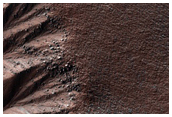 Gully Monitoring
