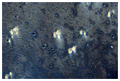 Syria Planum Terrain Sample
