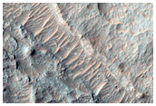 Crater Floor
