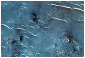 Tyrrhena Terra
