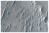Terrain Sample
