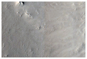 Terrain Sample
