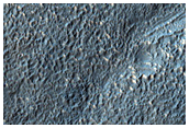 Branched Valleys on Southern Mid-Latitude Crater Rim
