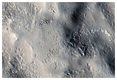 Utopia Planitia Terrain Sample
