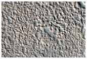 Fine-Scale Network of Valleys in Tempe Terra
